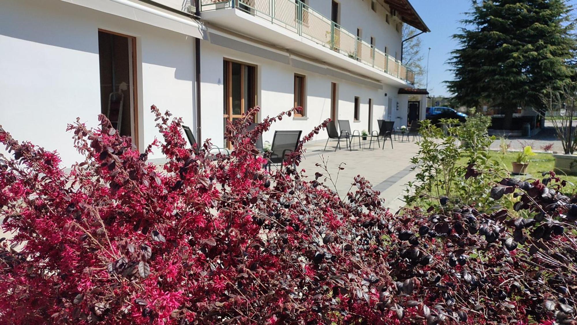 Nautica Tarello - Casa Ena Beb Bed & Breakfast Viverone Bagian luar foto